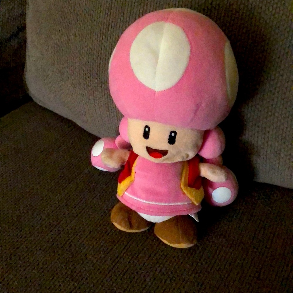 Toadette plush used condition